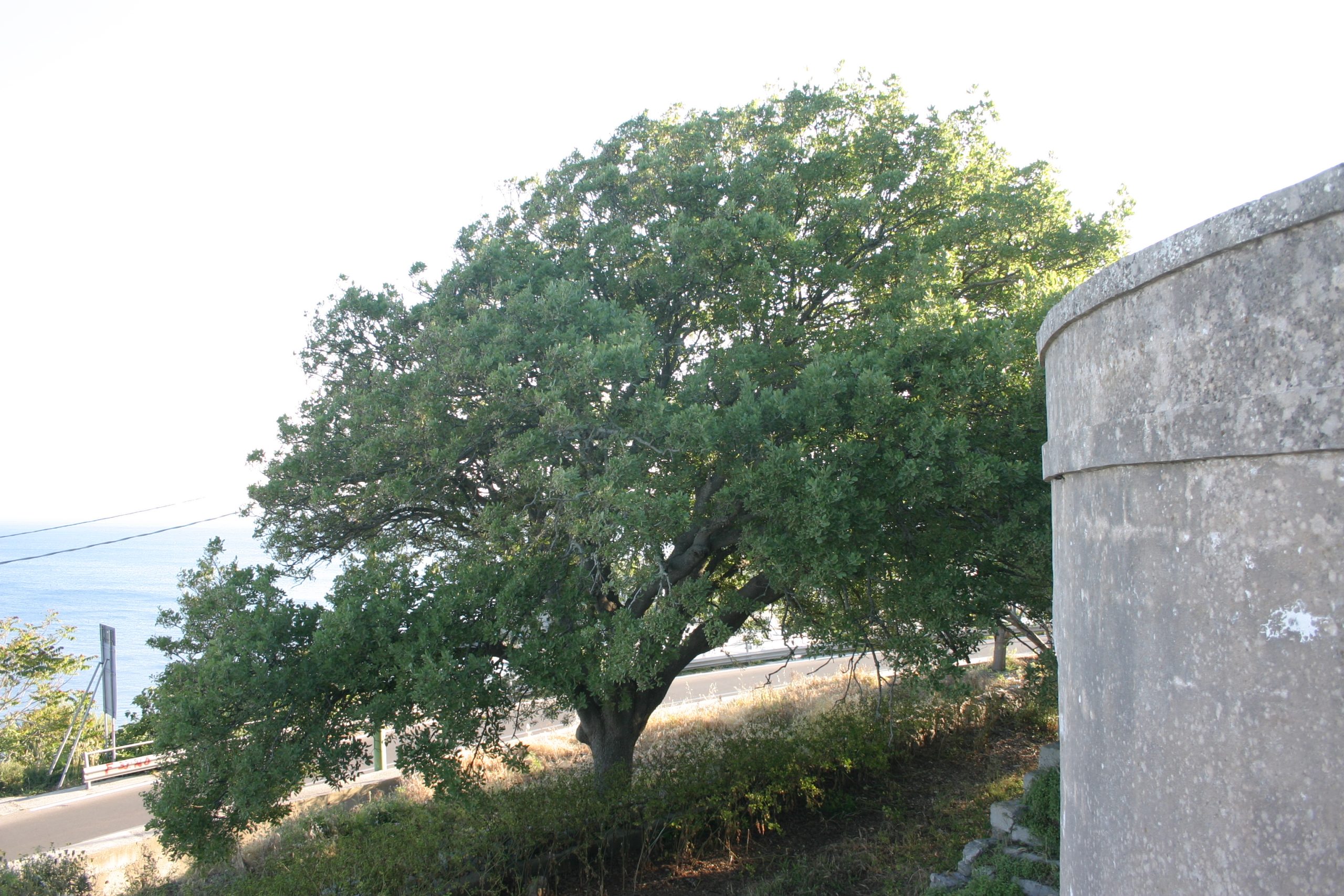 La famiglia Urso — custodi di Cala dei Balcani, location matrimoni esclusiva sul mare Adriatico, Salento