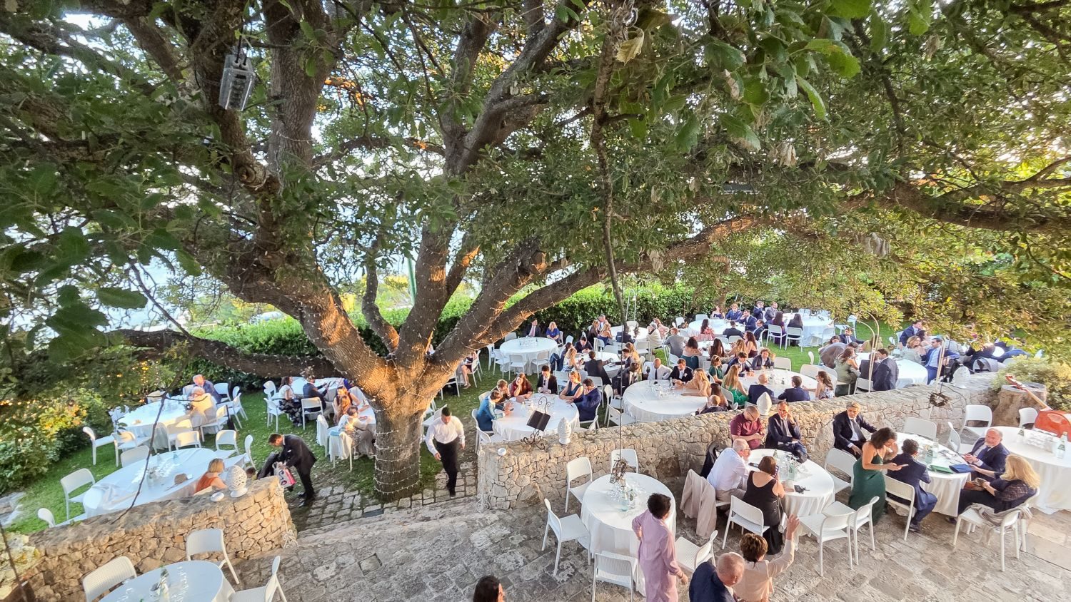 Vista dall'alto del giardino di Cala dei Balcani con i tavoli degli ospiti attorno all'albero secolare — Santa Cesarea Terme, Salento